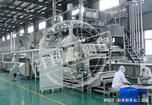 機(jī)械化加工粉條的優(yōu)勢(shì)、常見(jiàn)問(wèn)題及解決方案全解析