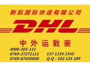 專業高效，鏈接全球 企石DHL快遞服務與南城新航貨運倉儲解決方案