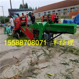 長(zhǎng)沙青儲(chǔ)打捆機(jī) 專(zhuān)業(yè)廠家與服務(wù)，賦能糧食加工食品生產(chǎn)